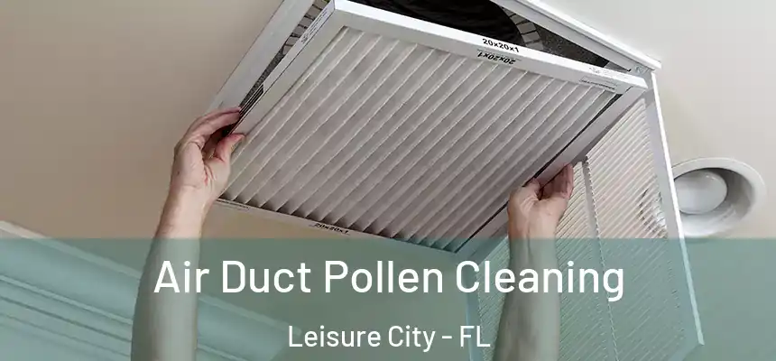 Air Duct Pollen Cleaning Leisure City - FL