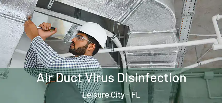 Air Duct Virus Disinfection Leisure City - FL