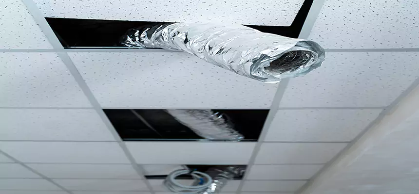 Affordable HVAC Sanitizing After Pest Removal in Leisure City