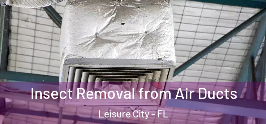 Insect Removal from Air Ducts Leisure City - FL
