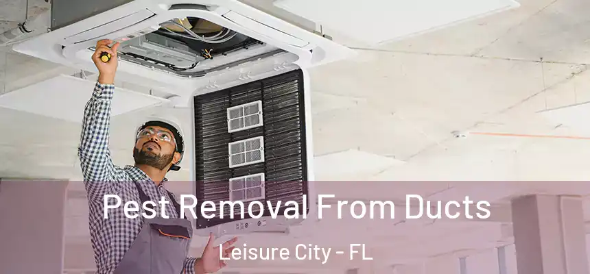 Pest Removal From Ducts Leisure City - FL