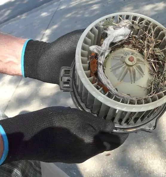 About Air Duct Rat Removal in Leisure City, FL