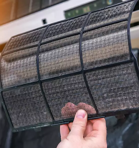 About Pet Dander Duct Cleaning in Leisure City, FL